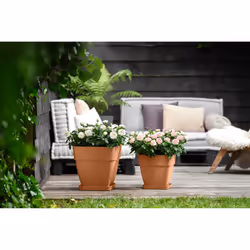 elho 8711904482459 accessorio per vaso Sottovaso