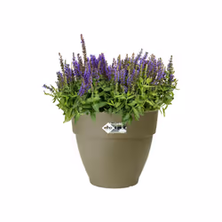 elho 8711904483098 vaso da fiori Verde Plastica
