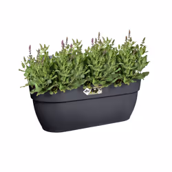 elho 8711904492991 fioriera Esterno Plastica Nero - Vista aggiuntiva 6