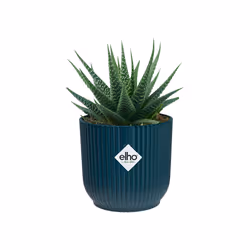 elho 8711904493745 vaso da fiori Blu Plastica