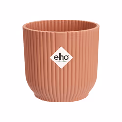elho 8711904494100 vaso da fiori Rosa Plastica