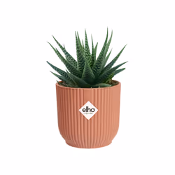 elho 8711904494100 vaso da fiori Rosa Plastica - Vista aggiuntiva 4