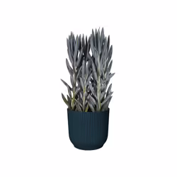elho 8711904494285 vaso da fiori Blu Plastica