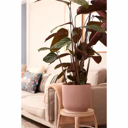 elho 8711904494346 vaso da fiori Rosa Plastica - Vista aggiuntiva 7