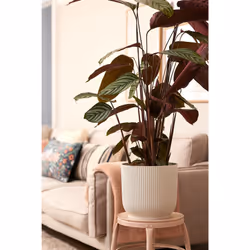 elho 8711904494377 vaso da fiori Bianco Plastica - Vista aggiuntiva 7