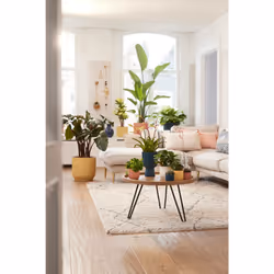 elho 8711904494377 vaso da fiori Bianco Plastica - Vista aggiuntiva 8