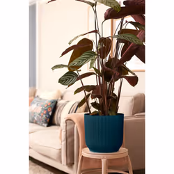 elho 8711904494407 vaso da fiori Blu Plastica - Vista aggiuntiva 8