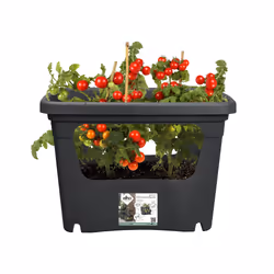 elho 8711904494490 fioriera Esterno Plastica Nero - Vista aggiuntiva 7