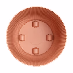 elho 8711904494698 vaso da fiori Rosa Plastica - Vista aggiuntiva 5
