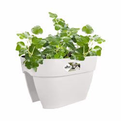 elho 8711904495077 fioriera Esterno Plastica Bianco - Vista aggiuntiva 4