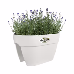 elho 8711904495077 fioriera Esterno Plastica Bianco - Vista aggiuntiva 5