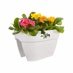 elho 8711904495077 fioriera Esterno Plastica Bianco - Vista aggiuntiva 6