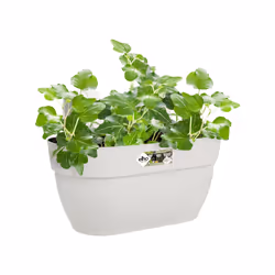 elho 8711904495312 fioriera Esterno Plastica Bianco - Vista aggiuntiva 4