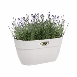 elho 8711904495312 fioriera Esterno Plastica Bianco - Vista aggiuntiva 5