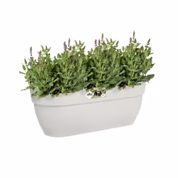 elho 8711904495497 fioriera Esterno Plastica Bianco - Vista aggiuntiva 4