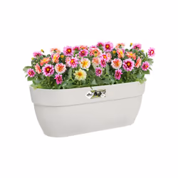 elho 8711904495497 fioriera Esterno Plastica Bianco - Vista aggiuntiva 5