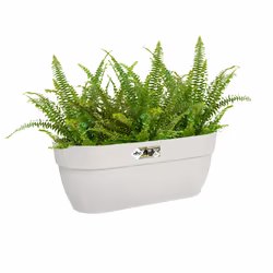 elho 8711904495497 fioriera Esterno Plastica Bianco - Vista aggiuntiva 6