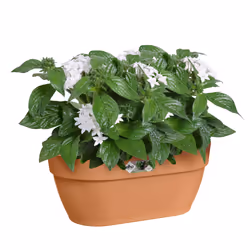 elho 8711904496272 fioriera Esterno Plastica Marrone
