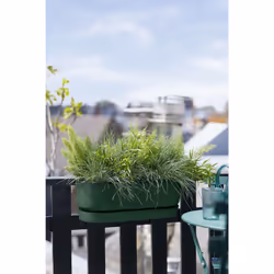elho 8711904496333 fioriera Plastica Verde - Vista aggiuntiva 7