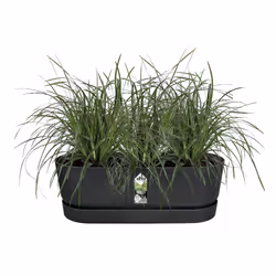 elho 8711904496395 fioriera Plastica Nero