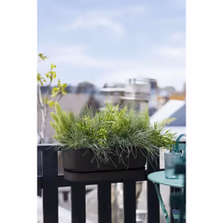 elho 8711904496395 fioriera Plastica Nero - Vista aggiuntiva 8