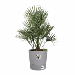 elho 8711904497347 vaso da fiori Grigio Plastica - Vista aggiuntiva 5