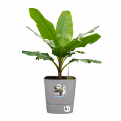 elho 8711904497422 vaso da fiori Grigio Plastica - Vista aggiuntiva 7
