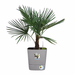 elho 8711904497507 vaso da fiori Grigio Plastica - Vista aggiuntiva 7