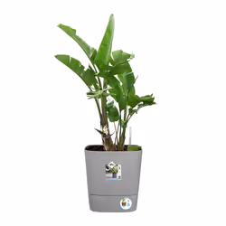 elho 8711904497507 vaso da fiori Grigio Plastica - Vista aggiuntiva 8