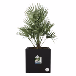 elho 8711904497736 fioriera Interno/esterno Plastica Nero - Vista aggiuntiva 4