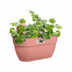 elho 8711904497989 fioriera Esterno Plastica Rosa - Vista aggiuntiva 6