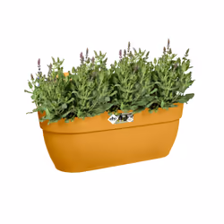 elho 8711904498016 fioriera Esterno Plastica Giallo - Vista aggiuntiva 5