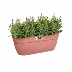 elho 8711904498047 fioriera Esterno Plastica Rosa - Vista aggiuntiva 4