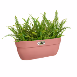 elho 8711904498047 fioriera Esterno Plastica Rosa - Vista aggiuntiva 5