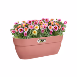 elho 8711904498047 fioriera Esterno Plastica Rosa - Vista aggiuntiva 6