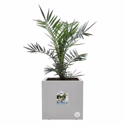 elho 8711904499280 fioriera Interno/esterno Plastica Grigio - Vista aggiuntiva 4