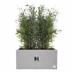 elho 8711904499648 vaso da fiori Grigio Plastica - Vista aggiuntiva 4
