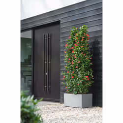 elho 8711904499648 vaso da fiori Grigio Plastica - Vista aggiuntiva 8