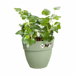 elho 8711904499747 fioriera Esterno Plastica Verde - Vista aggiuntiva 5