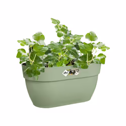 elho 8711904499778 fioriera Esterno Plastica Verde - Vista aggiuntiva 5