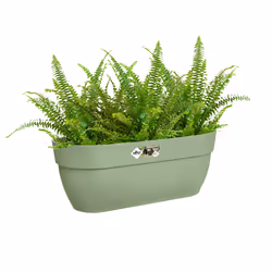 elho 8711904499808 fioriera Esterno Plastica Verde - Vista aggiuntiva 5