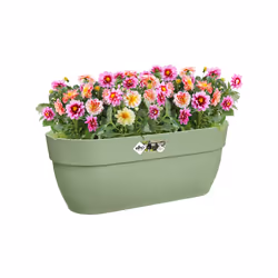 elho 8711904499808 fioriera Esterno Plastica Verde - Vista aggiuntiva 6