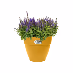 elho 8711904499990 vaso da fiori Giallo Plastica