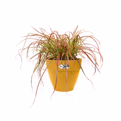 elho 8711904500023 vaso da fiori Giallo Plastica