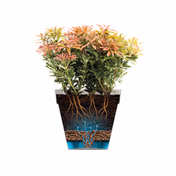 elho 8711904500566 vaso da fiori Verde Plastica - Vista aggiuntiva 6