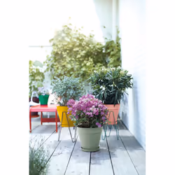 elho 8711904500566 vaso da fiori Verde Plastica - Vista aggiuntiva 8