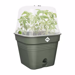 elho 8711904515355 fioriera Plastica Verde - Vista aggiuntiva 5