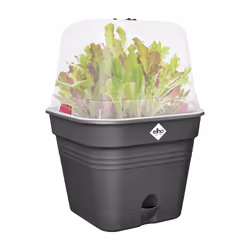 elho 8711904515522 fioriera Plastica Nero - Vista aggiuntiva 5