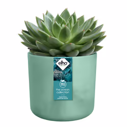 elho 8711904516352 vaso da fiori Verde Plastica - Vista aggiuntiva 4