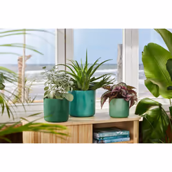 elho 8711904516352 vaso da fiori Verde Plastica - Vista aggiuntiva 8